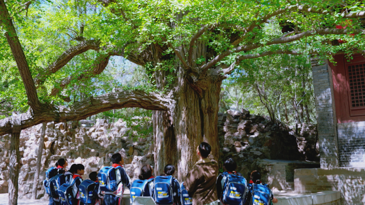 1749096009983015878.png image.png