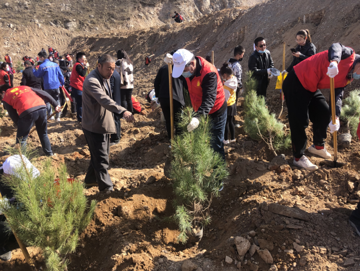 1765356092121009819.png image.png