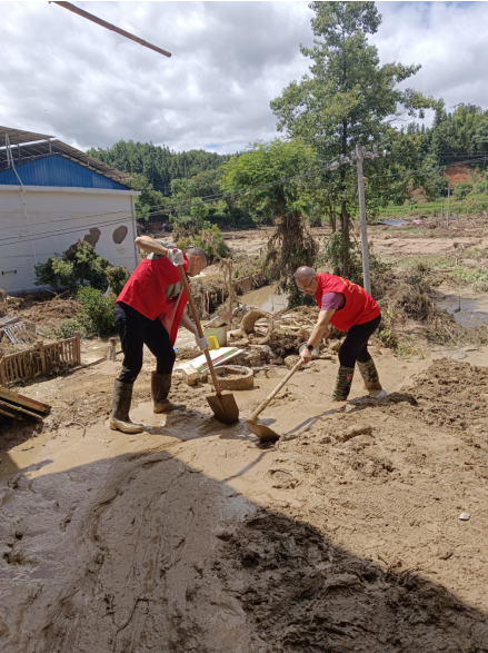 1767776693369026607.png image.png